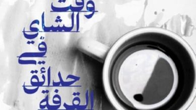 تحميل رواية وقت الشاي في حدائق القرفة pdf – شانكاري تشاندران